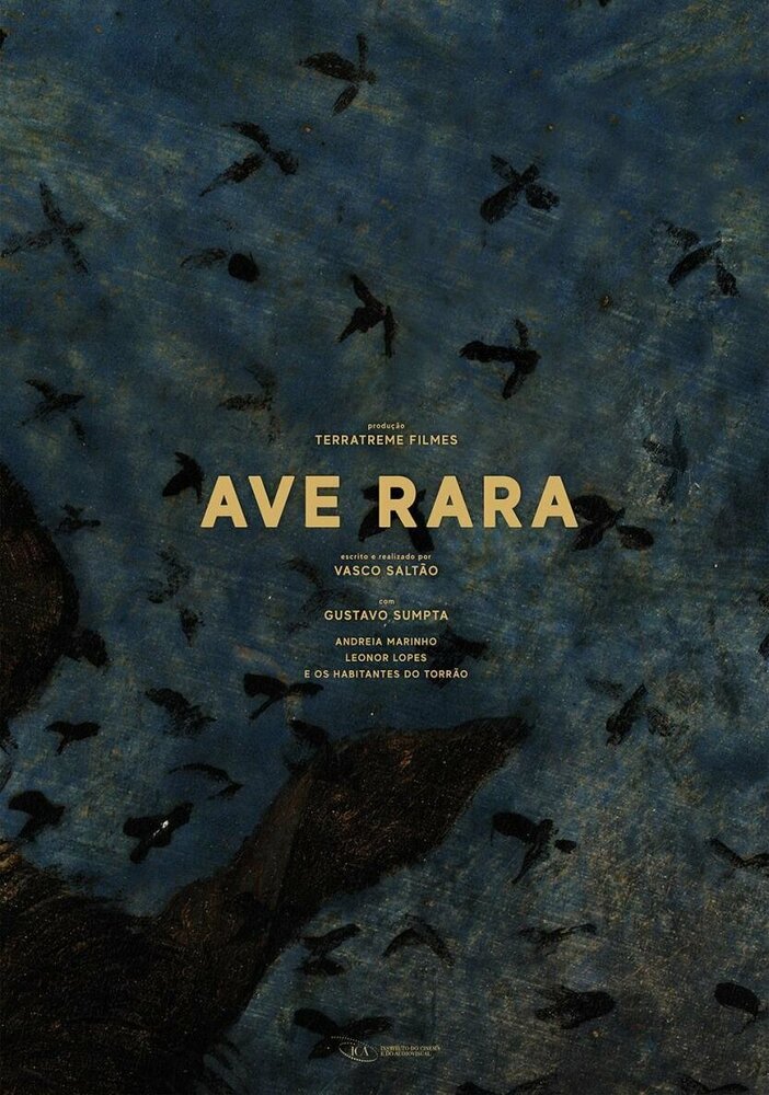 Ave Rara (2019)